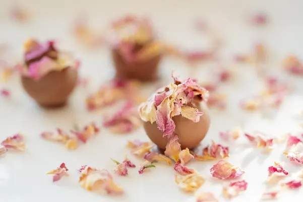 Бет24стар Казино Android/iOS приложение